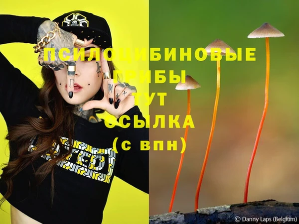 трава Семилуки